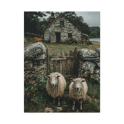 Sheep at Farmhouse Gate Wall Art & Canvas Print