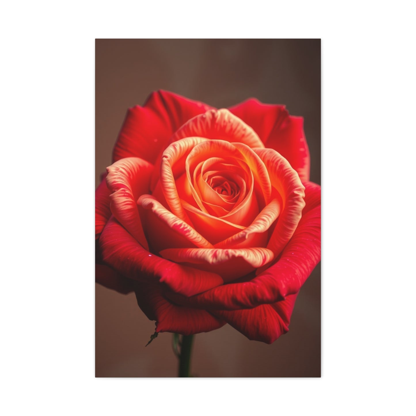 Supreme Rose Flower Art Beautiful Collection Wall Art & Canvas Print