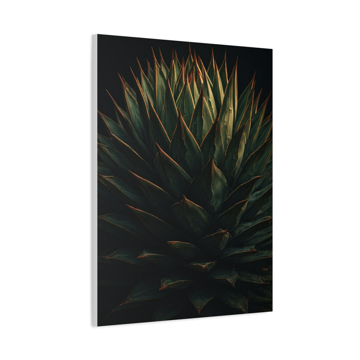 Emerald Agave Close-Up Wall Art & Canvas Prints