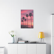 Pink Sunset Palm Coast Wall Art & Canvas Print