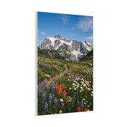 High Alpine Wildflower Meadow Wall Art & Canvas Print