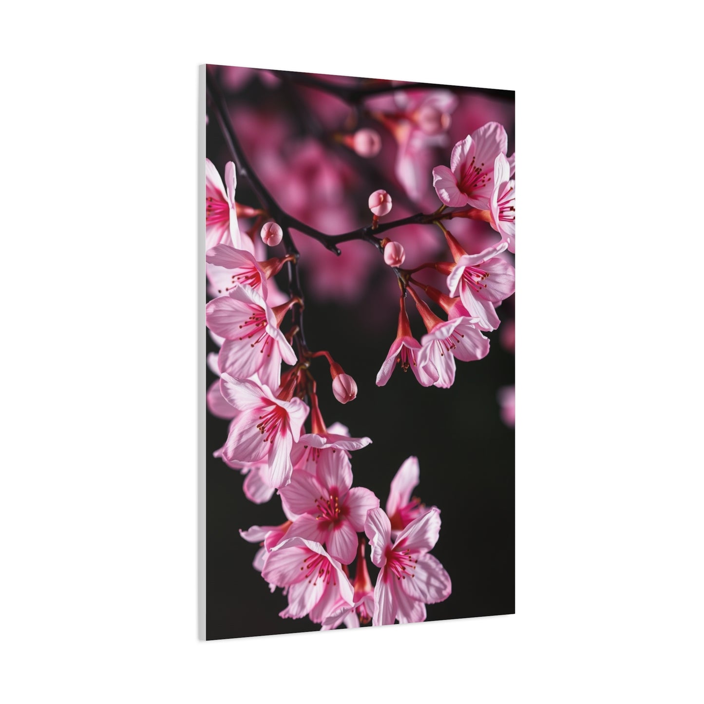 Supreme Cherry Blossom Wall Art Beautiful Collection Wall Art & Canvas Print