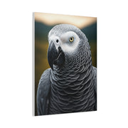Sophisticated African Grey Parrot Portrait Wall Art & Canvas Prints