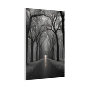 Misty Tree Avenue Monochrome Wall Art & Canvas Print