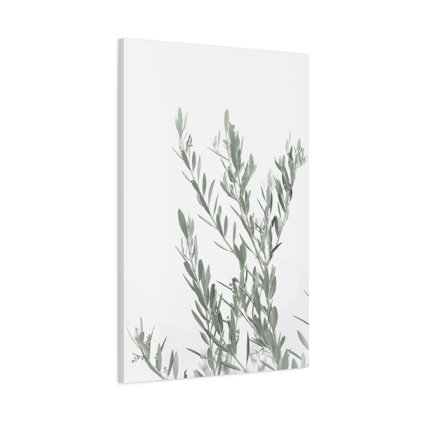 Leafy Wall Art & Canvas Prints
