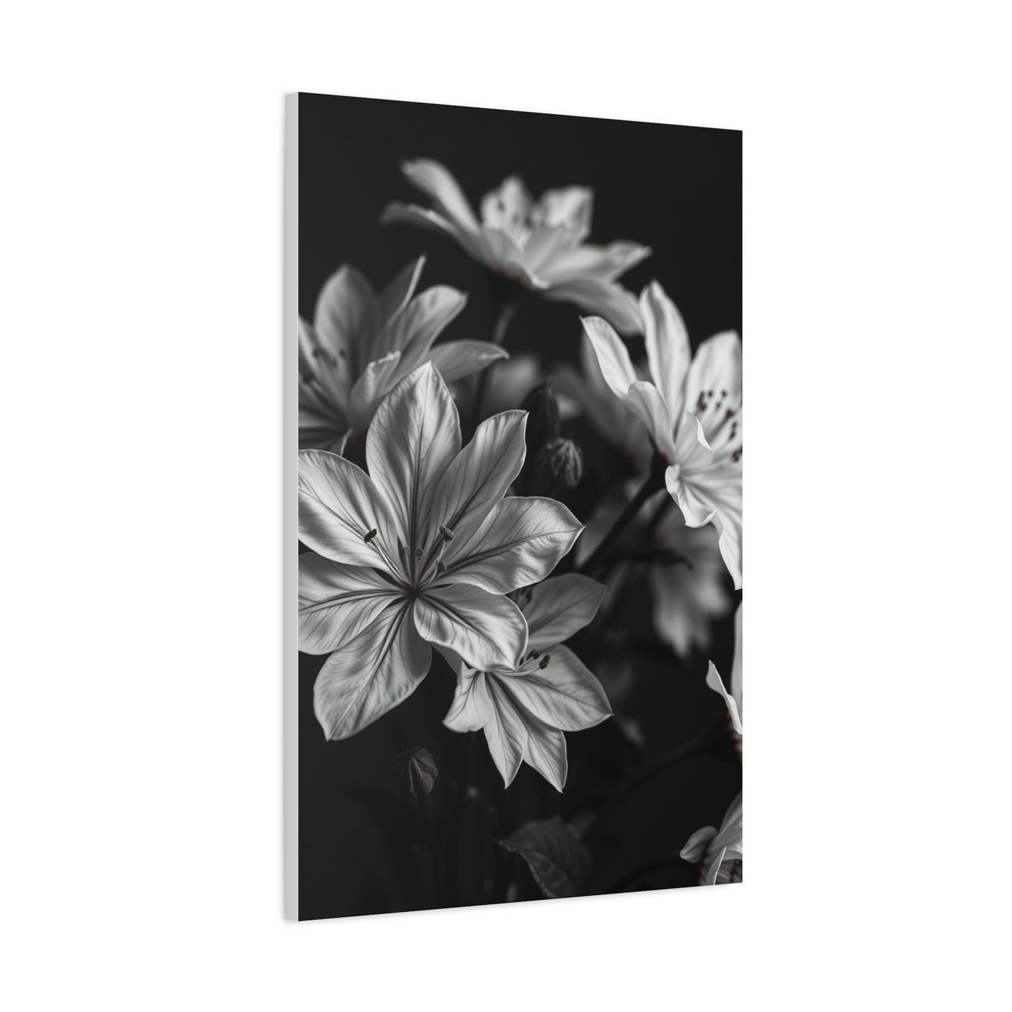 Ebony Whiteness Petal Tableau Wall Art & Canvas Print