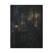 Gothic Night Peacock Balcony Wall Art & Canvas Print