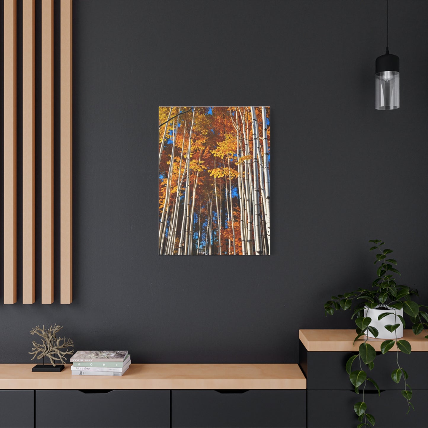 Aspen Tree Art Supreme Gallery Wall Art & Canvas Print