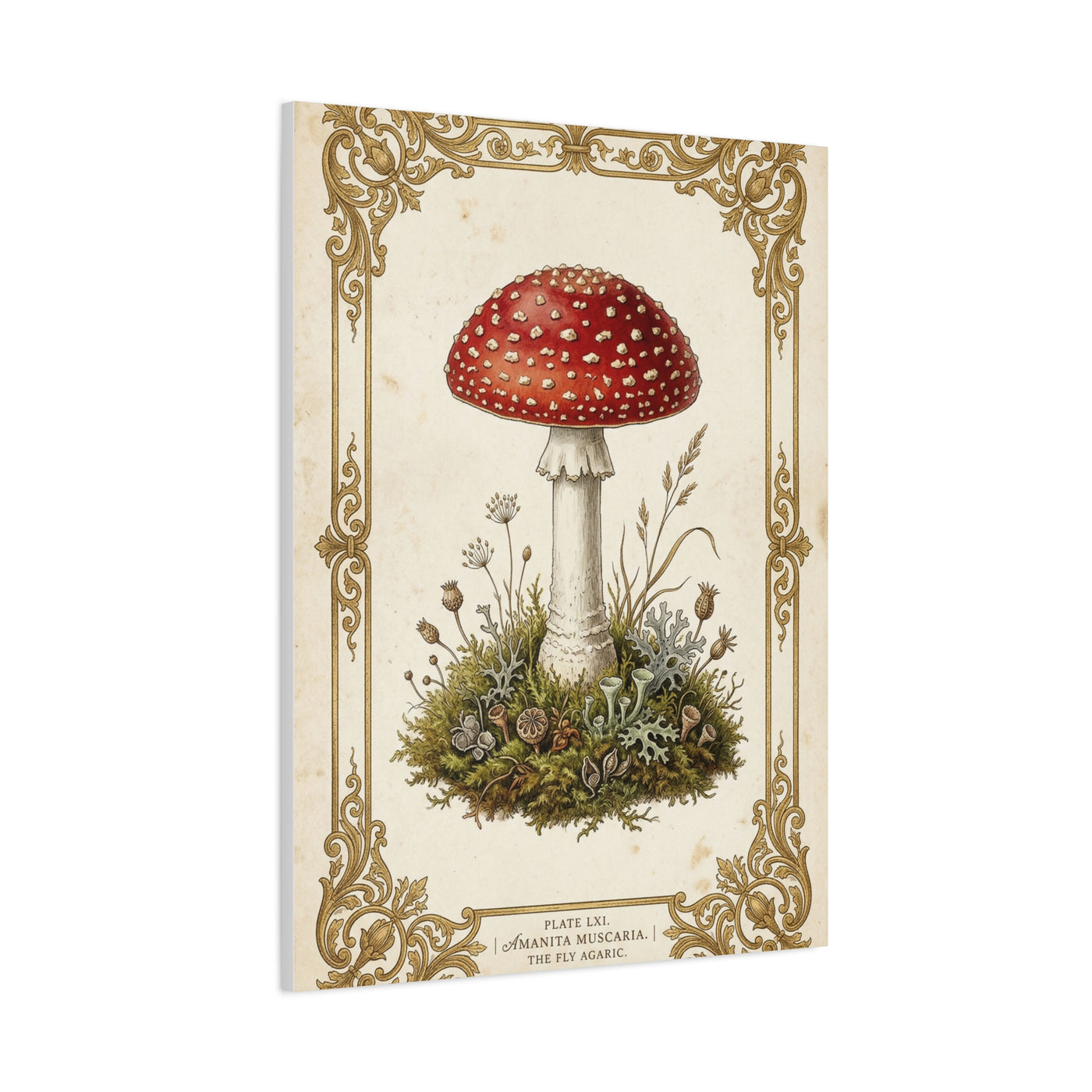 Victorian Botanical Mycology Plate Wall Art & Canvas Print