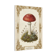 Victorian Botanical Mycology Plate Wall Art & Canvas Print
