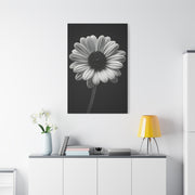 Bold Daisy Contrast Portrait Wall Art & Canvas Prints
