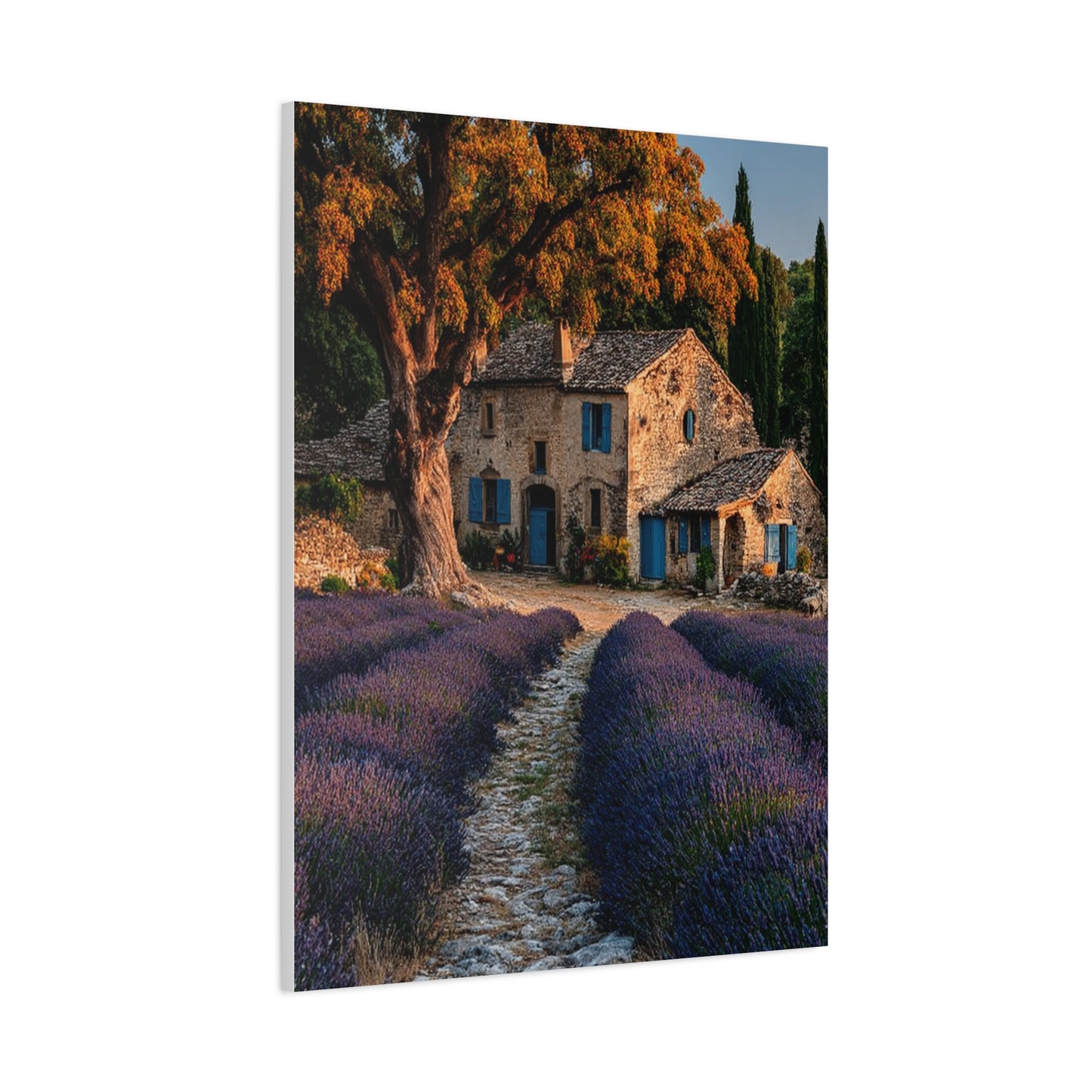 Lavender Field Farmhouse Provence Wall Art & Canvas Print