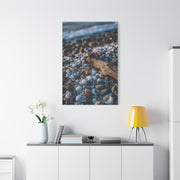 Rocky Shoreline with Seashells and Driftwood Wall Art & Canvas Print
