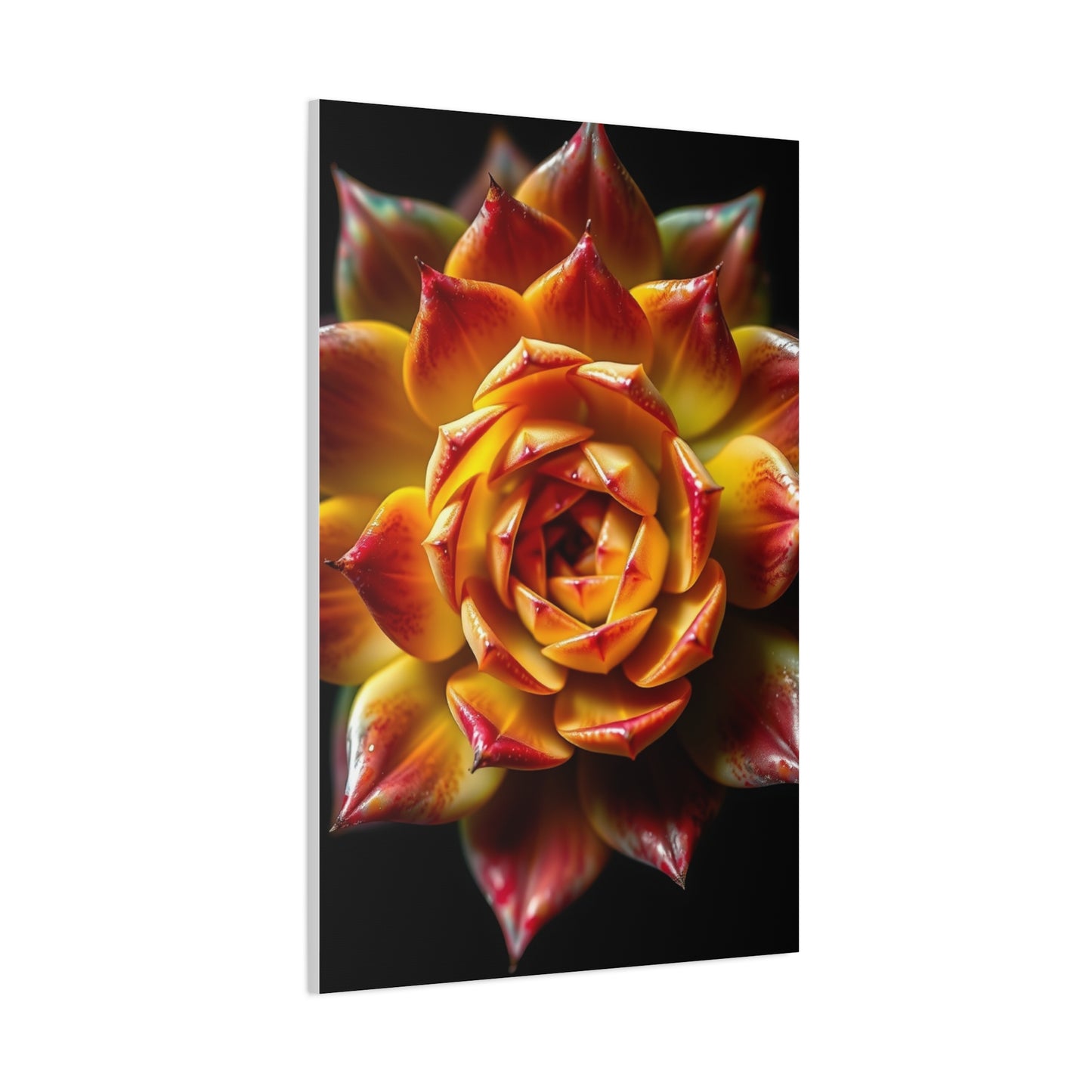 Supreme Succulent Art Beautiful Collection Wall Art & Canvas Print