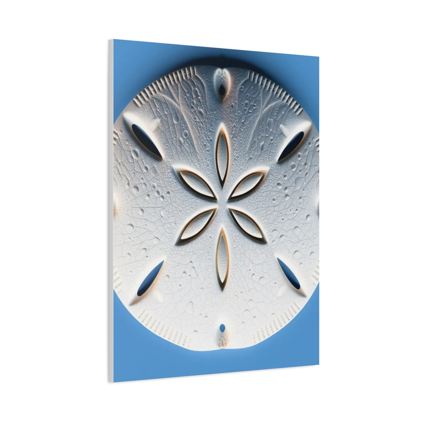 Sand Dollar Art Supreme Canvas Wall Art & Canvas Print
