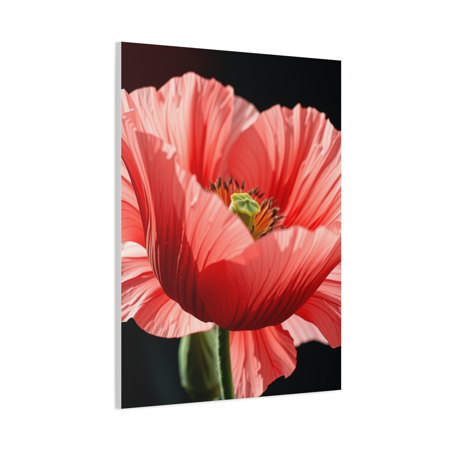 Supreme Poppy Flower Art Beautiful Collection Wall Art & Canvas Print
