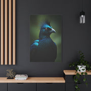Midnight Crested Starling Portrait Wall Art & Canvas Prints