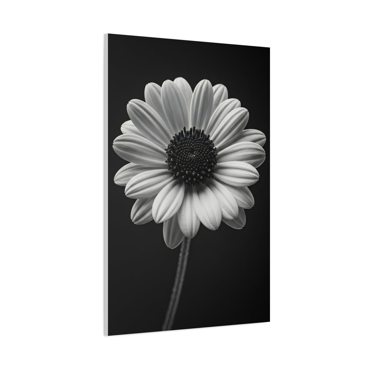 Bold Daisy Contrast Portrait Wall Art & Canvas Prints