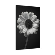 Bold Daisy Contrast Portrait Wall Art & Canvas Prints
