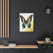 Multicolor Fantasy Butterfly Wall Art & Canvas Prints