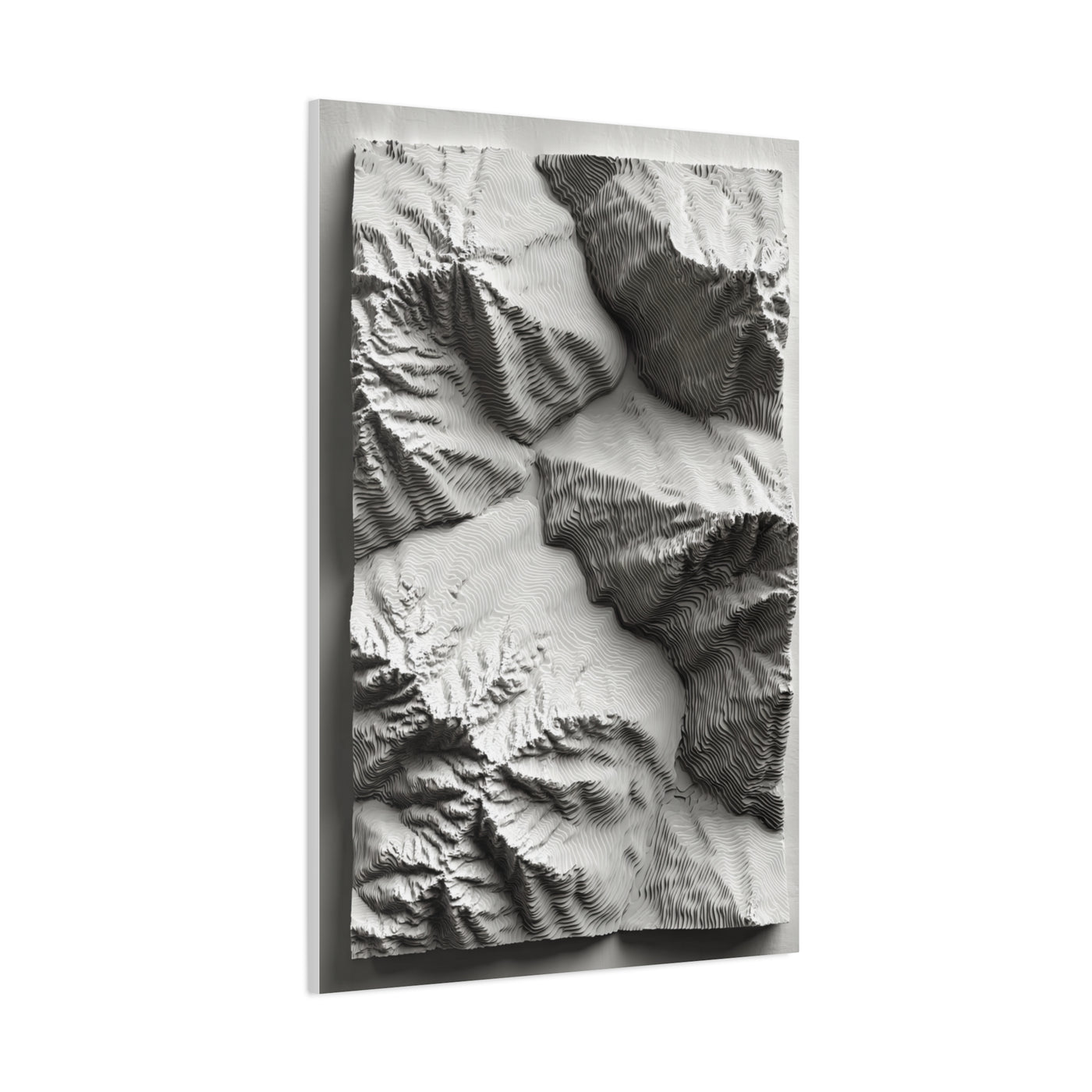 Sculpted Topographic Relief Wall Art & Canvas Print