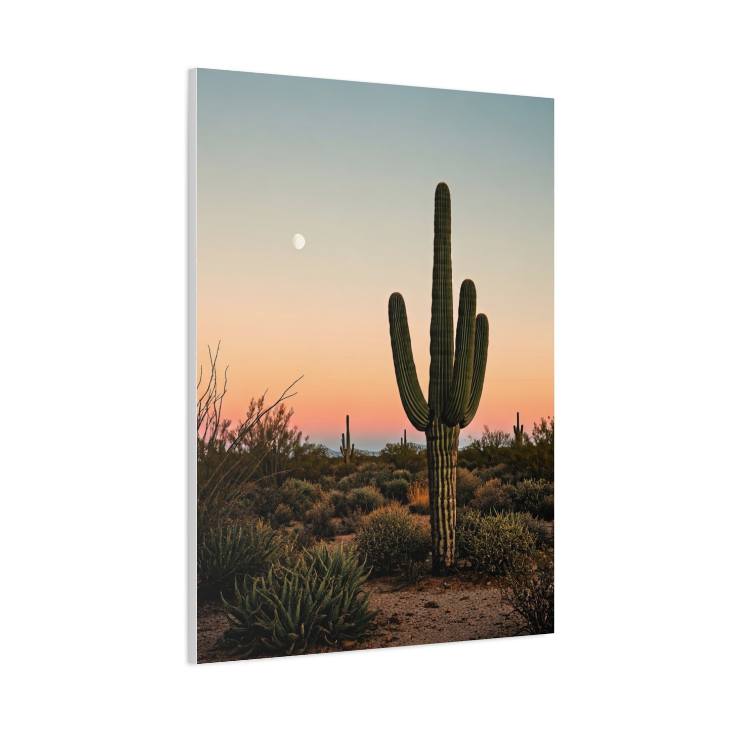 Golden Sunset Saguaro Landscape Wall Art & Canvas Prints