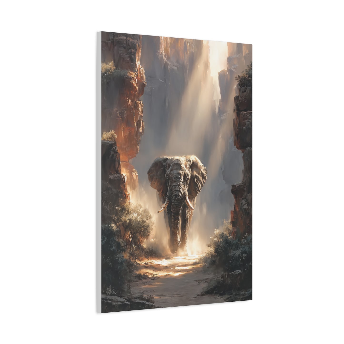 Elephant Canyon Light Passage Wall Art & Canvas Print