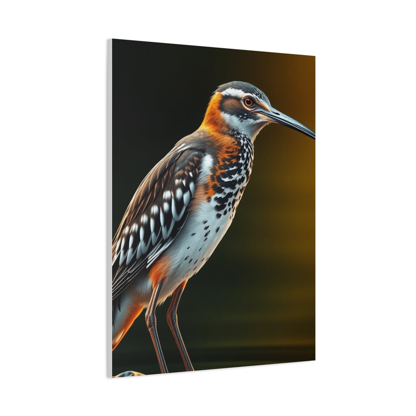 Supreme Sandpiper Art Beautiful Collection Wall Art & Canvas Print