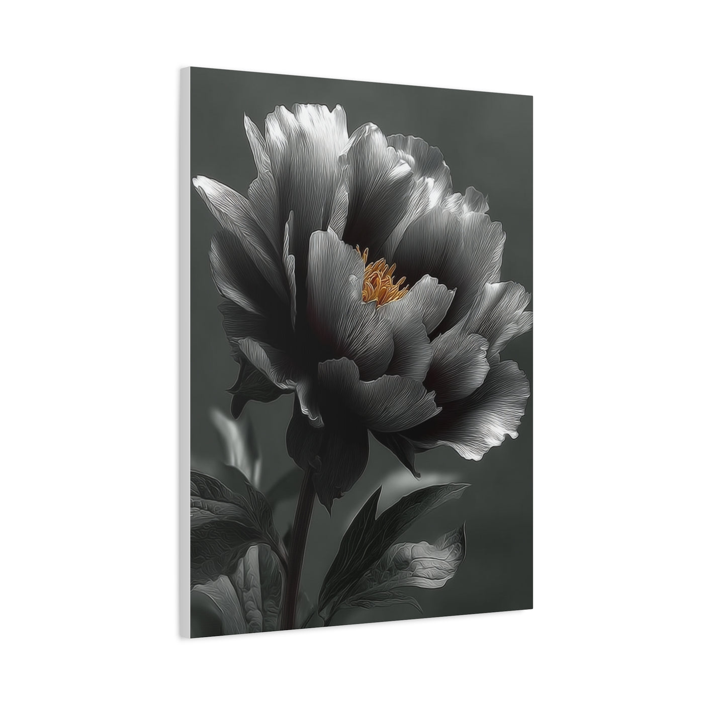 Silver Peony Fine Art Floral Wall Art & Canvas Print