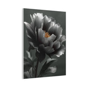 Silver Peony Fine Art Floral Wall Art & Canvas Print