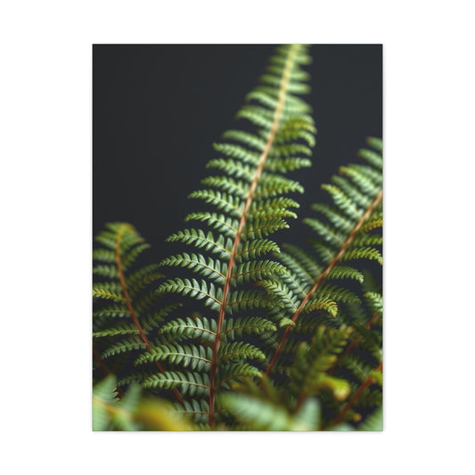 Fern Art Supreme Canvas Wall Art & Canvas Print