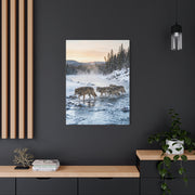 Winter River Wolf Pack Crossing Scene Wall Art & Canvas Print