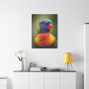 Vibrant Rainbow Lorikeet Wall Art & Canvas Prints