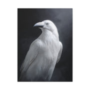 Elegant White Raven Portrait Wall Art & Canvas Print
