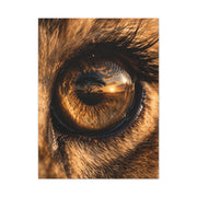 Lion Eye Reflection Macro Wall Art & Canvas Print