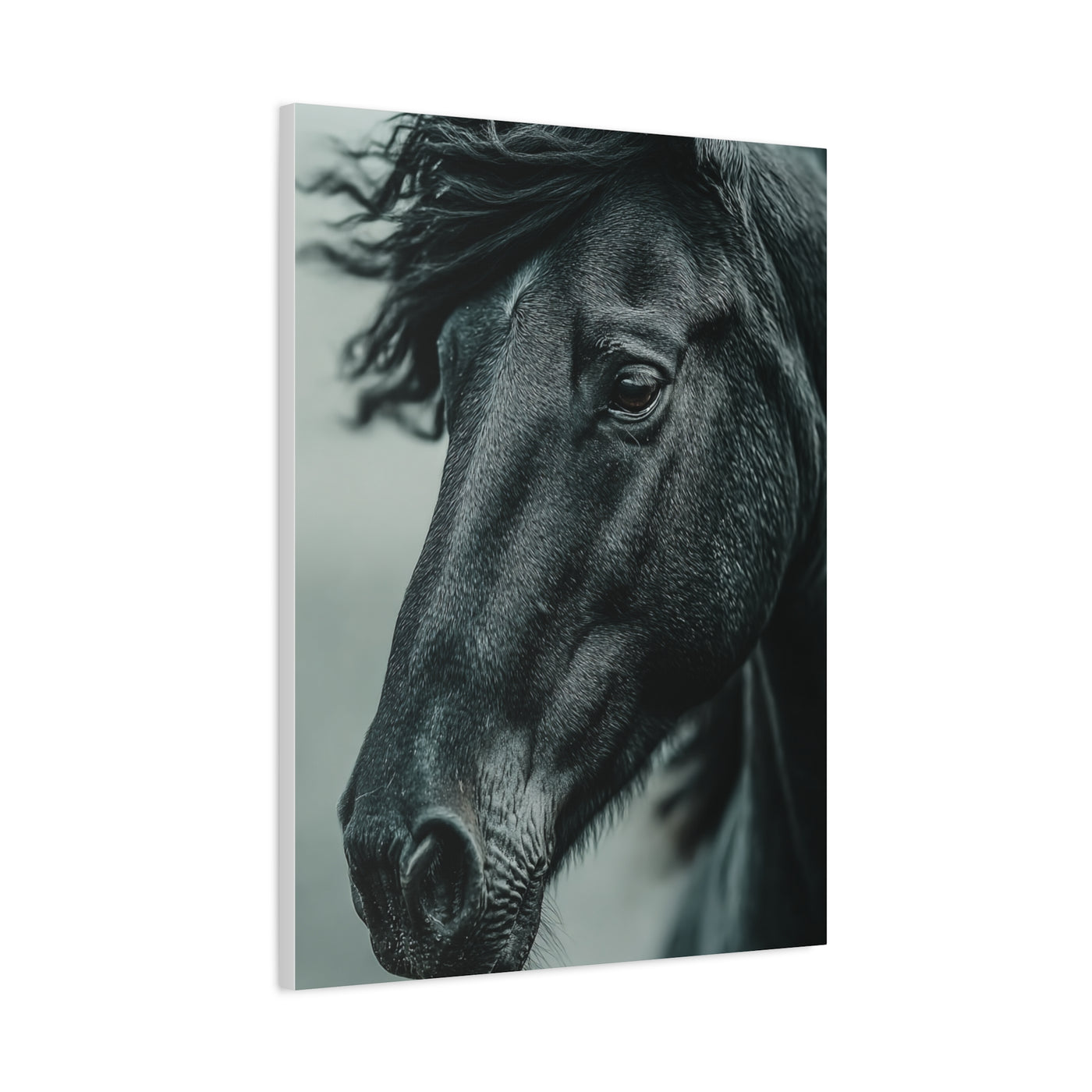 Black Stallion Close Portrait Wall Art & Canvas Print