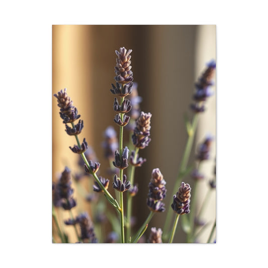 Lavender Herb Art Supreme Canvas Wall Art & Canvas Print