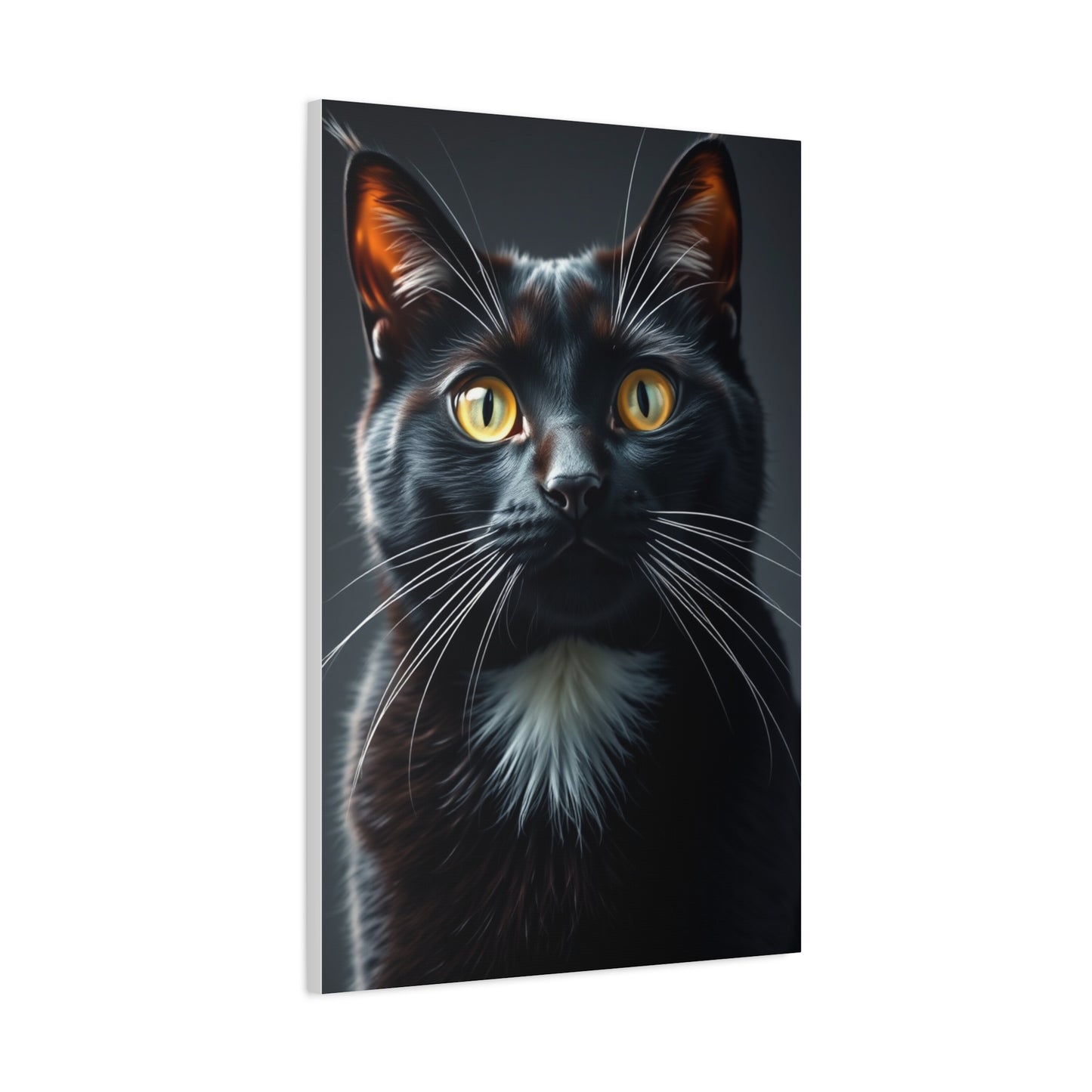 Supreme Tuxedo Cat Art Beautiful Collection Wall Art & Canvas Print