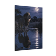 Lion by Moonlit Water Reflection Wall Art & Canvas Print