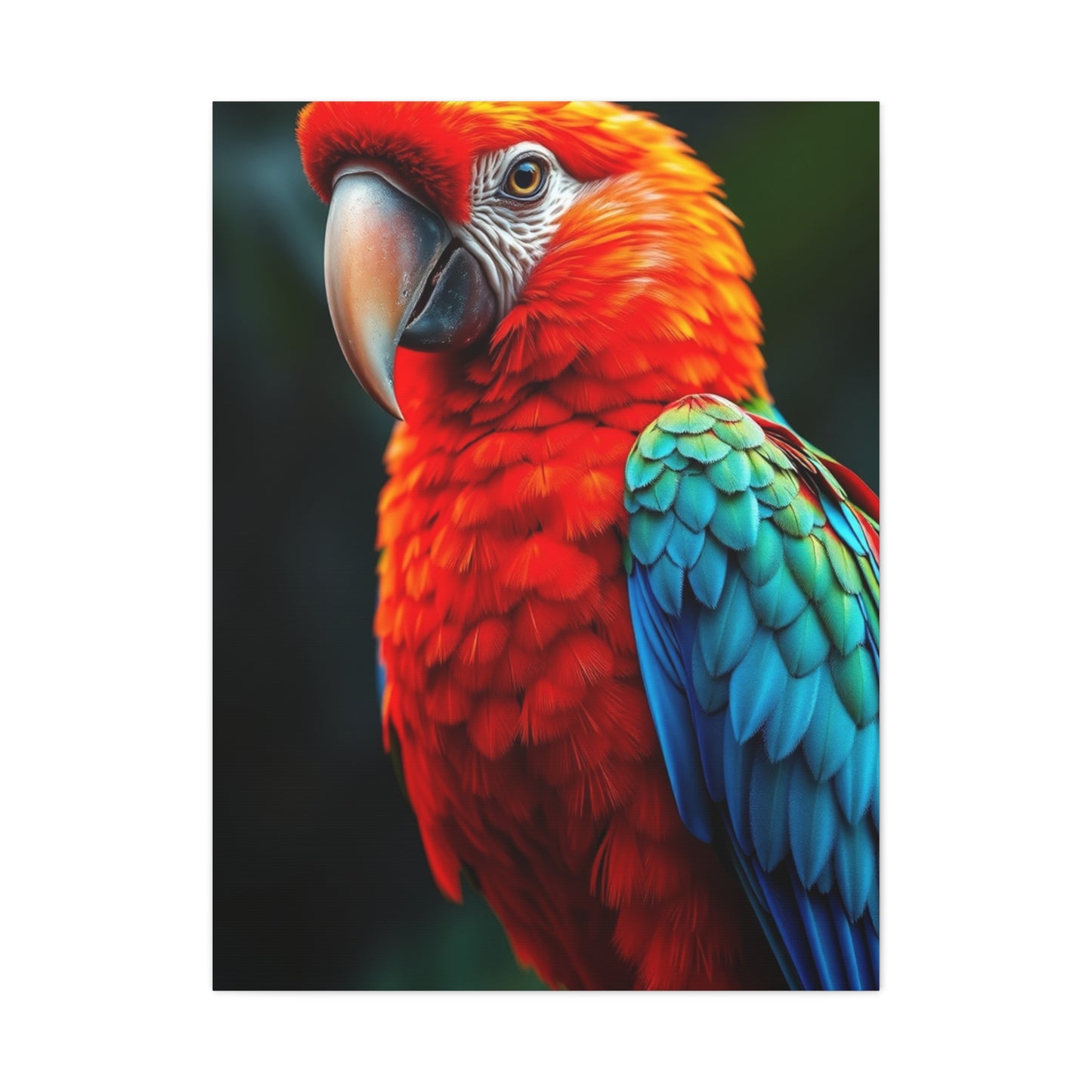 Supreme Tropical Birds Art Beautiful Collection Wall Art & Canvas Print