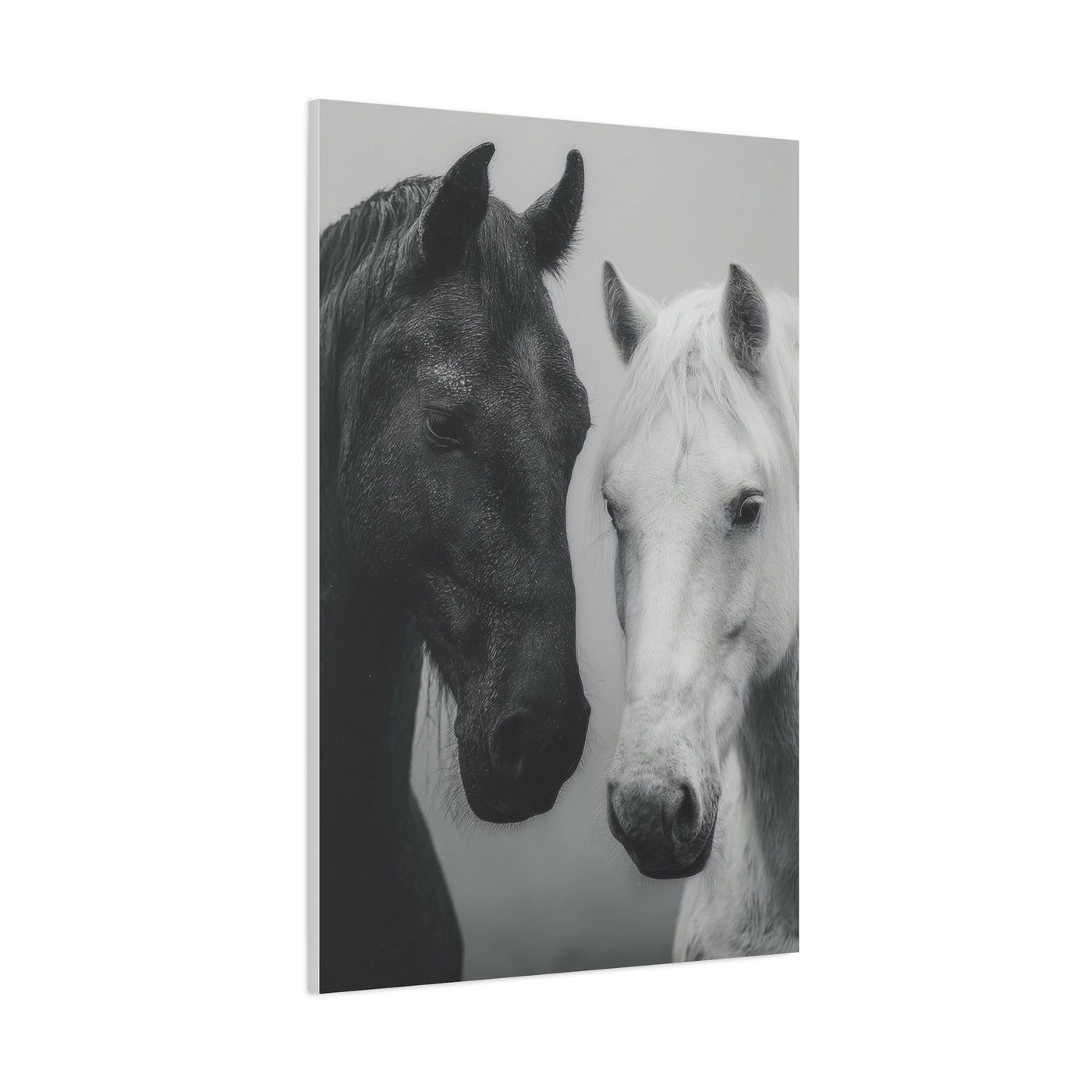 Intimate Dual Horse Monochrome Wall Art & Canvas Print