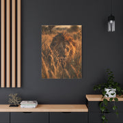 Lion Stalking Through Savannah Grass Wall Art & Canvas Print