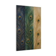 Peacock Feather Triptych Harmony Wall Art & Canvas Print
