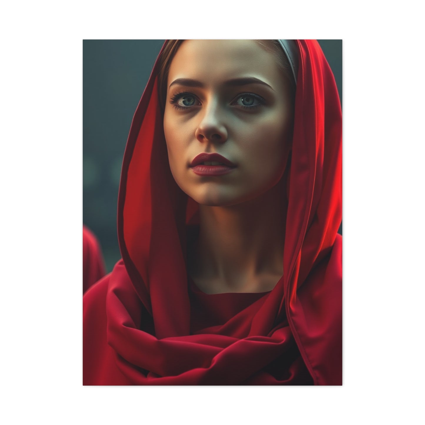 The Handmaid’s Tale Art Supreme Canvas Wall Art & Canvas Print