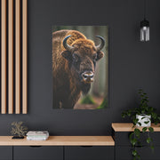 Wood Bison Close-Up with Soft Forest Backdrop Wall Art & Canvas Print
