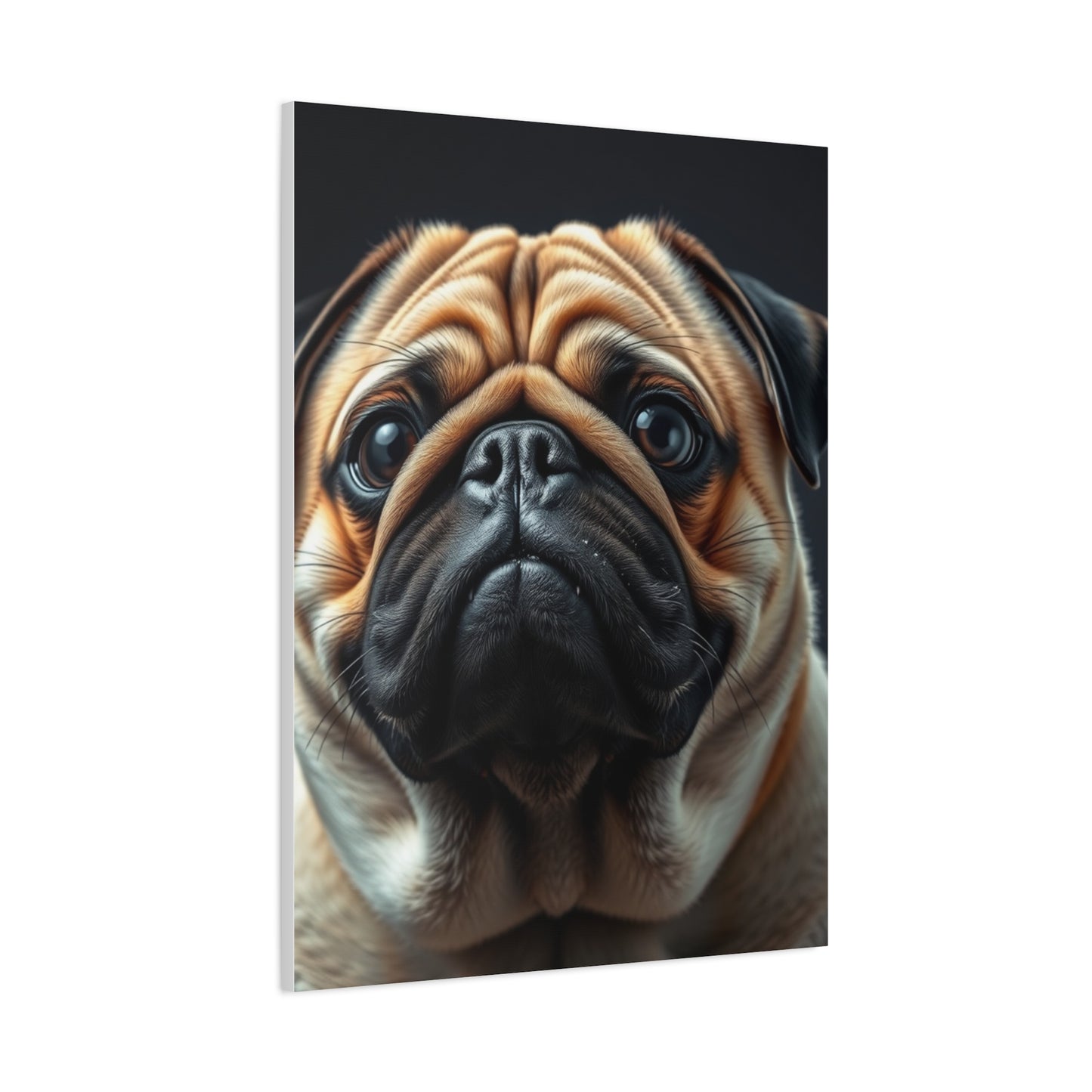 Supreme Pug Art Beautiful Collection Wall Art & Canvas Print