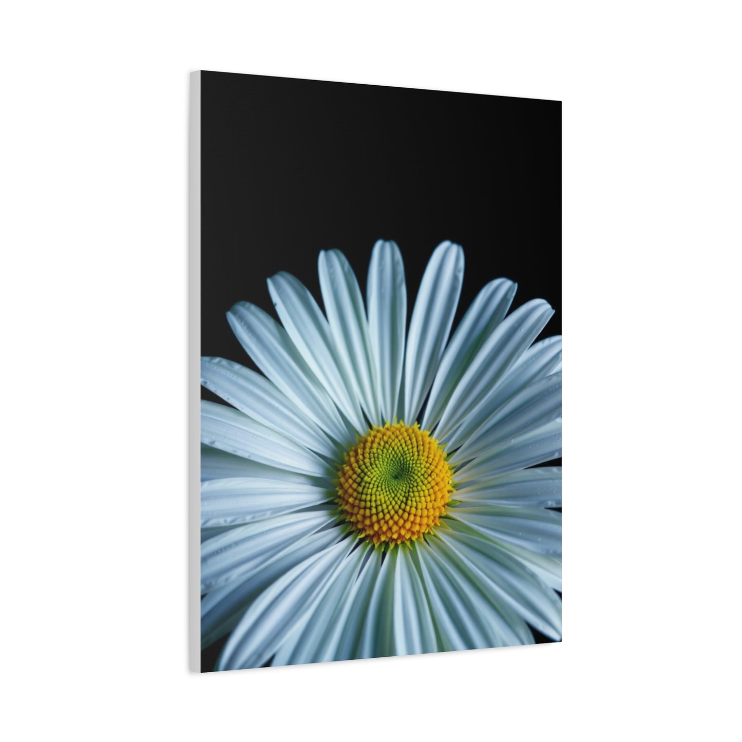 Majestic Meadow Elegance