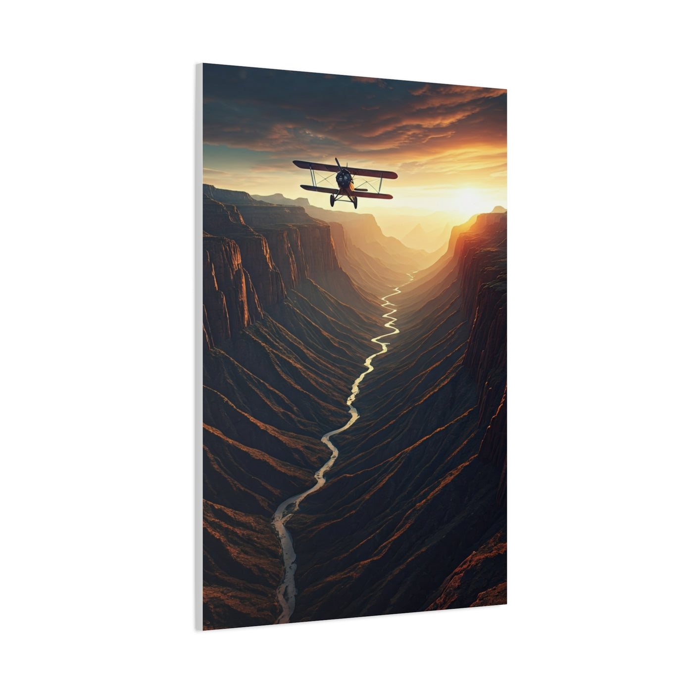 Canyon Flight Into Golden Distance Wall Art & Canvas Prints