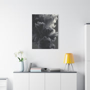 Smoke Ink Monochrome Abstract Wall Art & Canvas Print