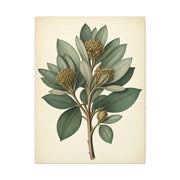 Floral Branch Illustration Wall Art & Canvas Prints